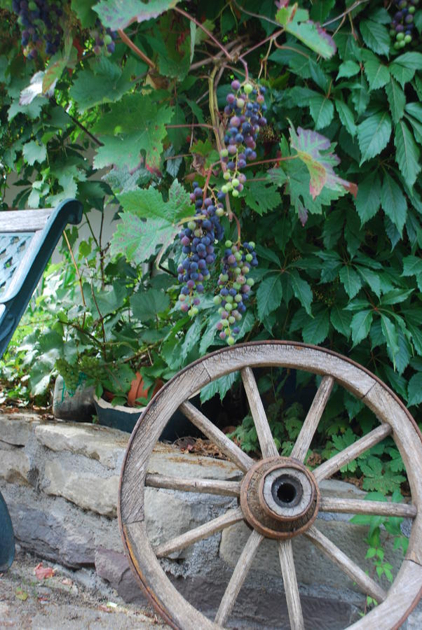 Zehnthof 호텔 Geldersheim 외부 사진