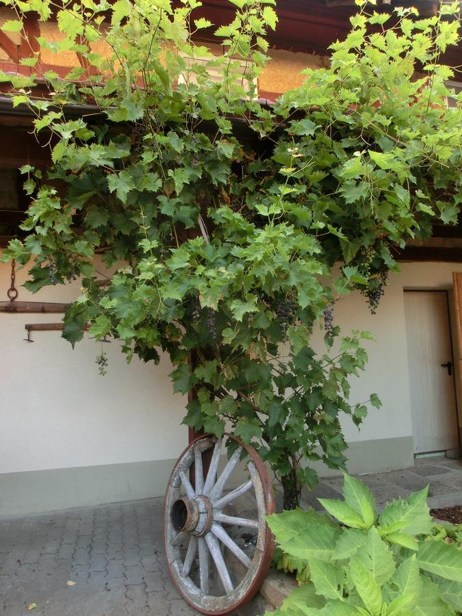 Zehnthof 호텔 Geldersheim 외부 사진